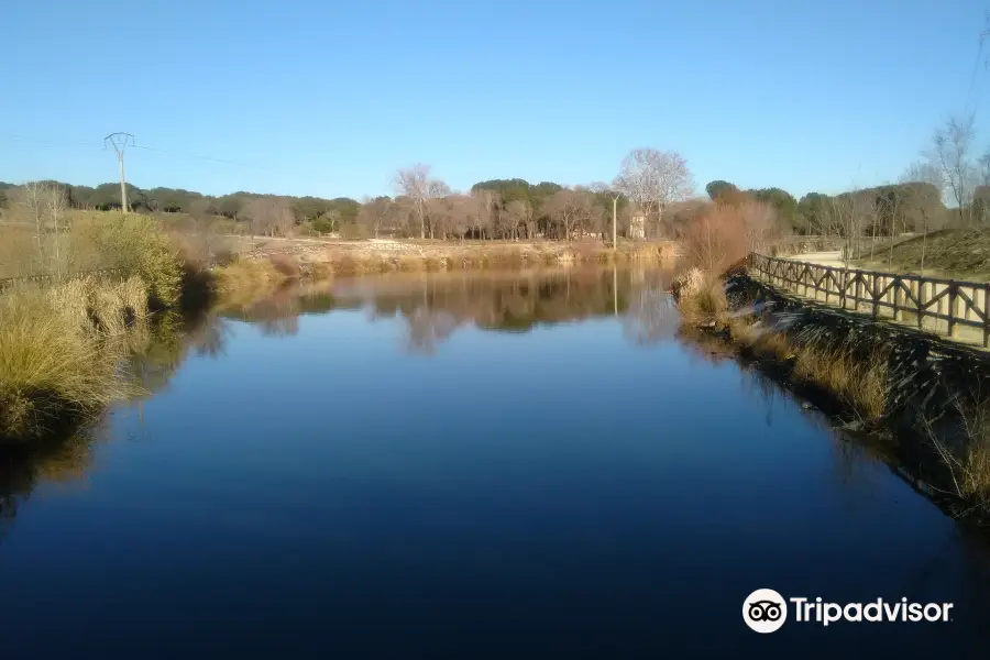 Parque de Las Presillas