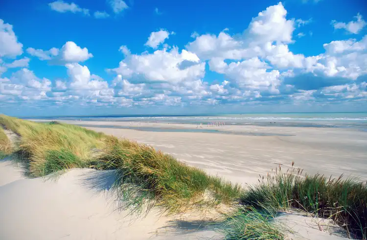 Hôtels à proximité de : Golf des Dunes
