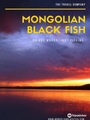 Mongolian Black Fish