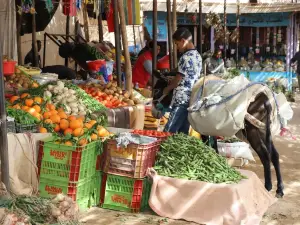 Rissani Market