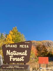 Grand Mesa National Forest