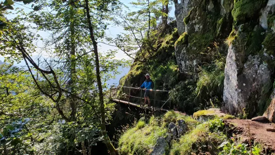 Sentier Des Roches