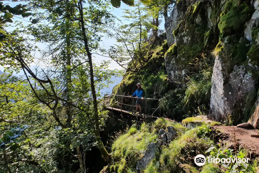 Sentier Des Roches