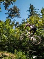 BielTrail Downhill Track