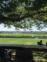 Westport Rivers Vineyard