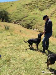 Akaroa Farm Tours