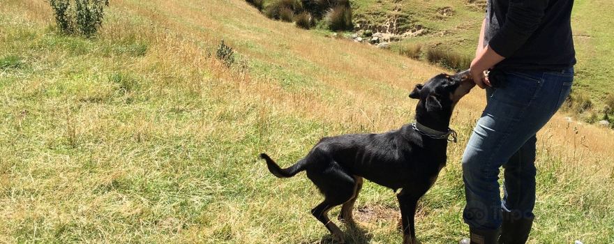 Akaroa Farm Tours