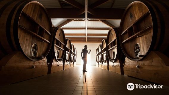 Champagne COLLARD-PICARD