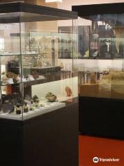 Geosciences Museum