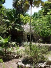 Jardin Botanico Dr. Alfredo Barrera Marin