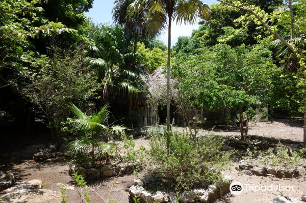 Jardin Botanico Dr. Alfredo Barrera Marin