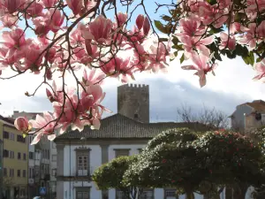 Castelo de Lamego