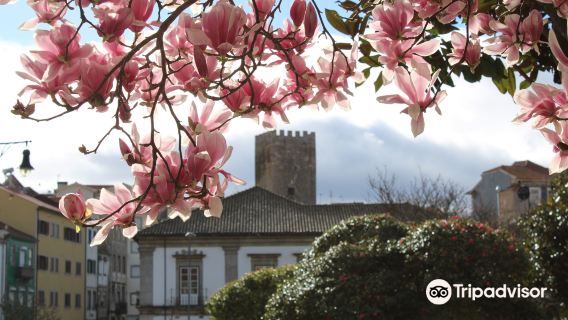 Castelo de Lamego