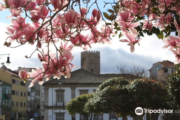 Castelo de Lamego