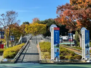 사야마 스키장