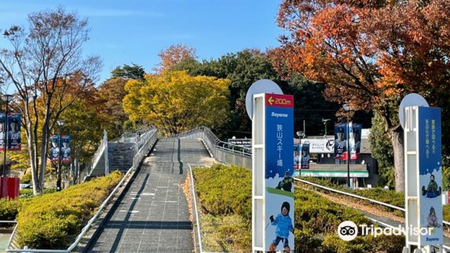 Sayama Ski Resort