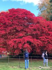 Westonbirt, The National Arboretum