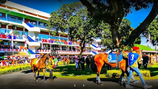 Greyville Racecourse