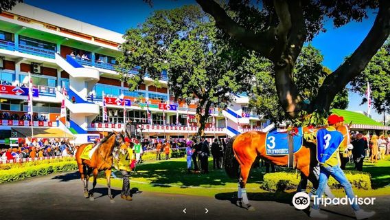 Hollywoodbets Greyville Racecourse