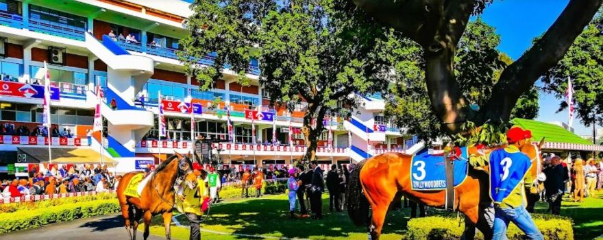 Hollywoodbets Greyville Racecourse