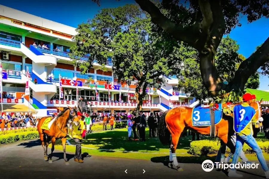 グレイヴィル競馬場