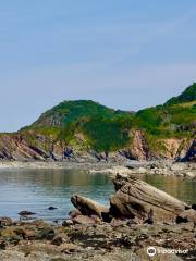 Woody Bay, Devon