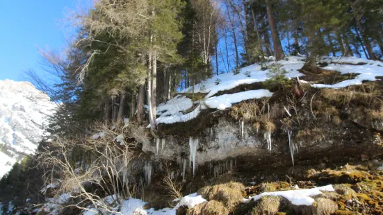 Die Triefen von Hinterthal