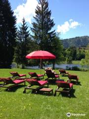 Waldbad Gieringer Weiher in Kitzbühel