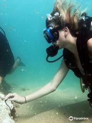 Try Scuba Diving - Honolulu