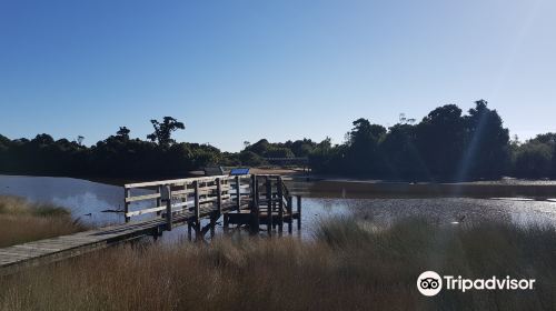 Hapuka Estuary Walk