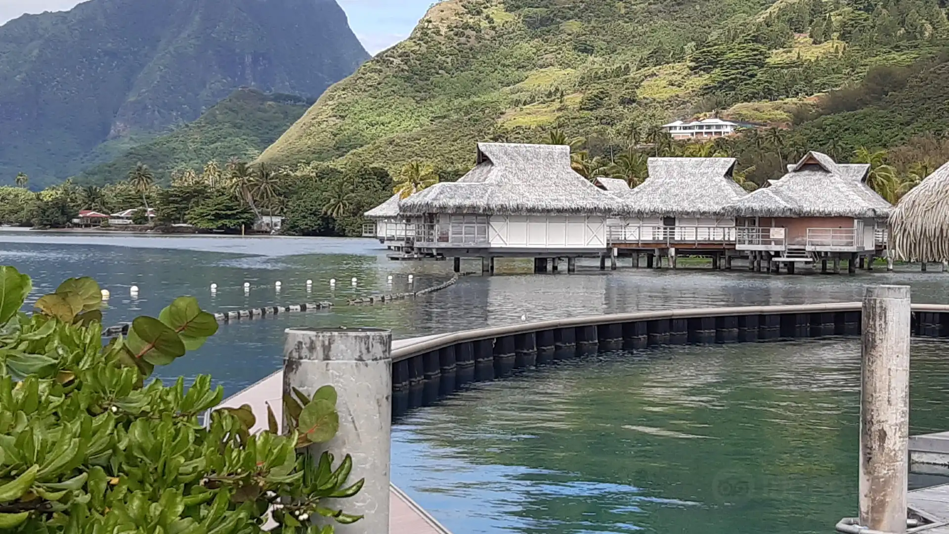 Hotels near Moorea Dolphin Center