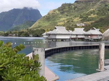 Moorea Dolphin Center