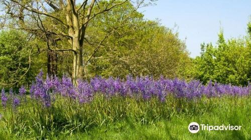 The Yorkshire Arboretum