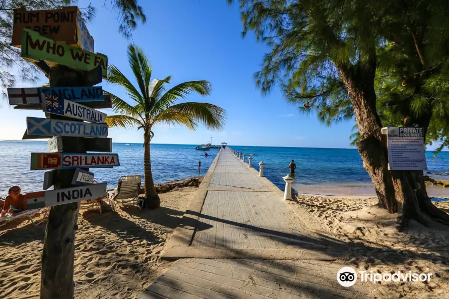 Rum Point Beach