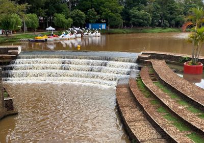 Igapo Lake