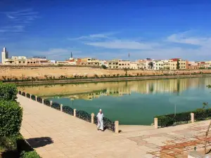 Sahrij Swani