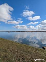 Scaling Reservoir