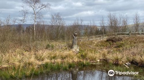 Beacon Fell Country Park