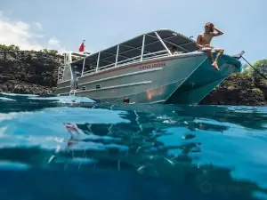 Hang Loose Boat Tours