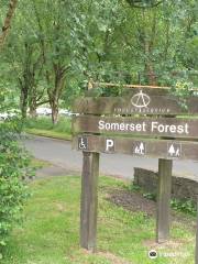 Somerset Forest