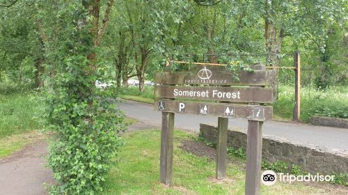 Somerset Forest