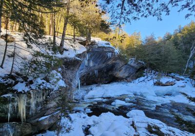 Natural Stone Bridge and Caves