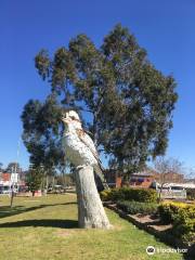 Big Kookaburra