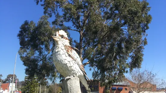 Big Kookaburra