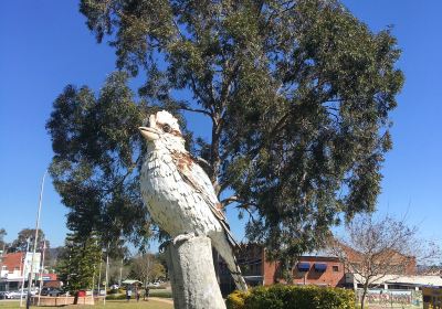 Big Kookaburra