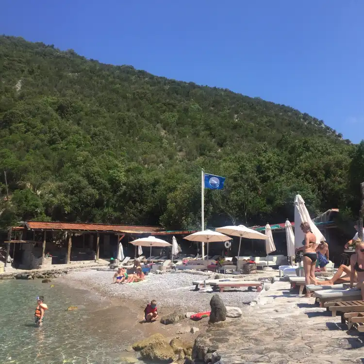 Klinci