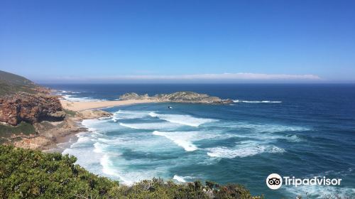 Plettenberg Beach