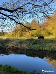 Haughton Dale Nature Reserve