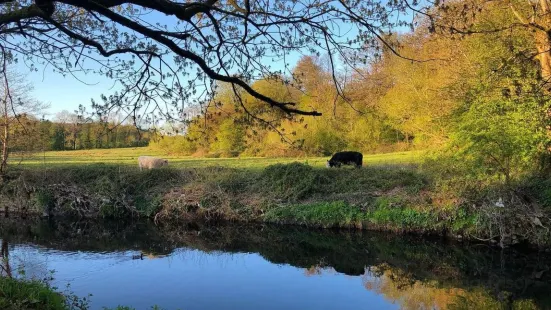 Haughton Dale Nature Reserve