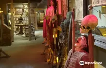 Medieval Torture Museum